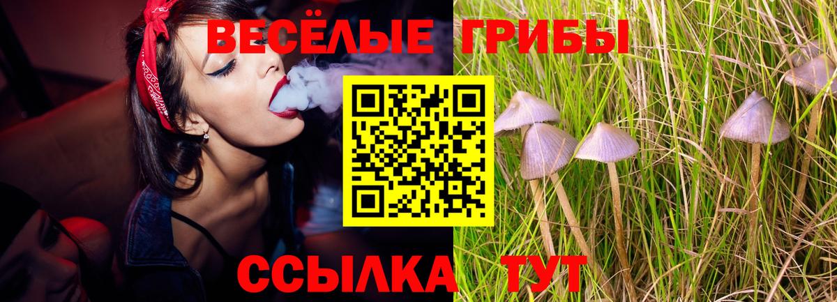 Галлюциногенные грибы Cubensis Краснодар