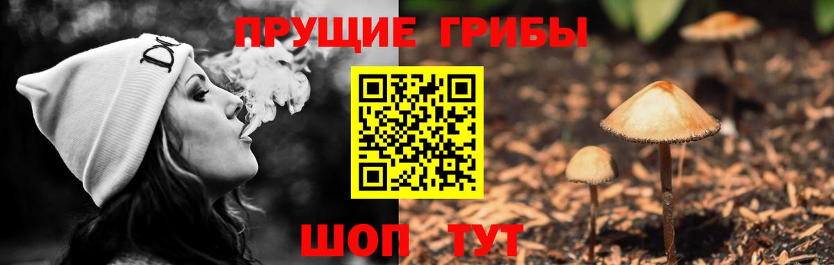 Краснодар  Псилоцибиновые грибы Psilocybine cubensis  Вход с VPN 