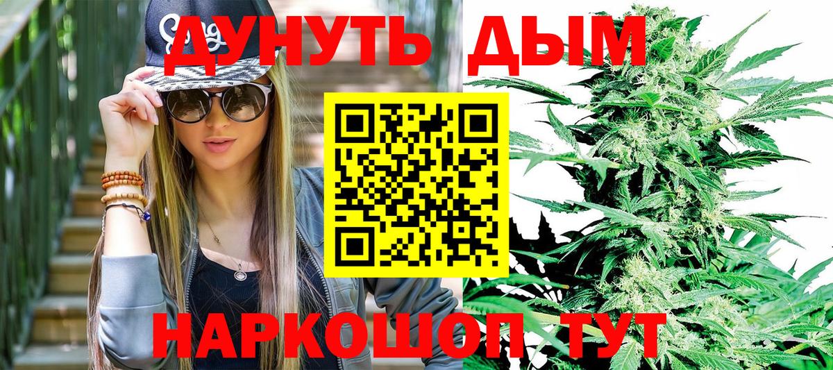 Каннабис сатива  Марихуана сатива  Конопля ГИДРОПОН  Краснодар  Вход с VPN 